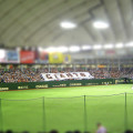 Yomiuri_Giants_vs_Softbank_Hawks_in_Miniature___Flickr_-_Photo_Sharing_